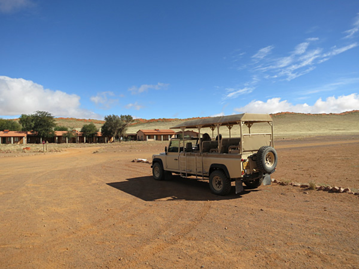 safaricar.jpg